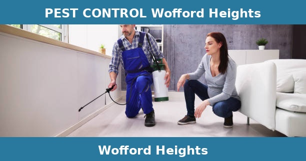 PEST CONTROL Wofford Heights